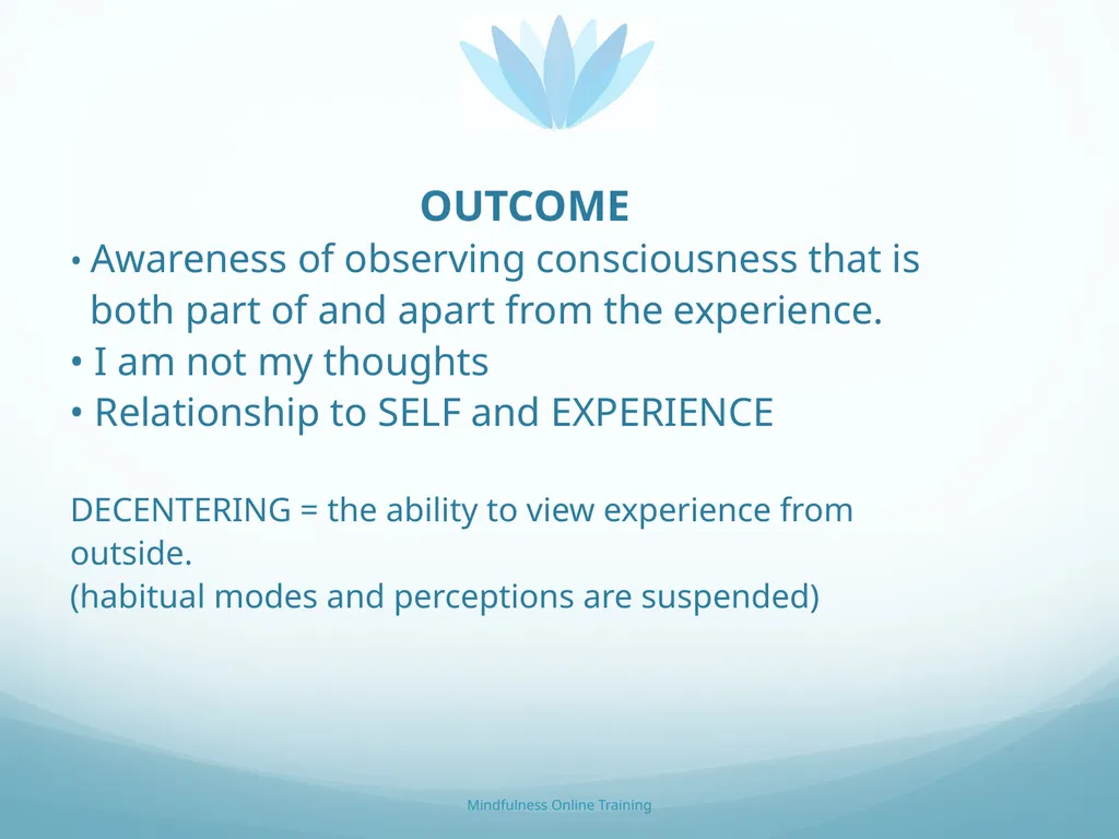 Mindfulness provides a tool for profound life - slide 76 of 103