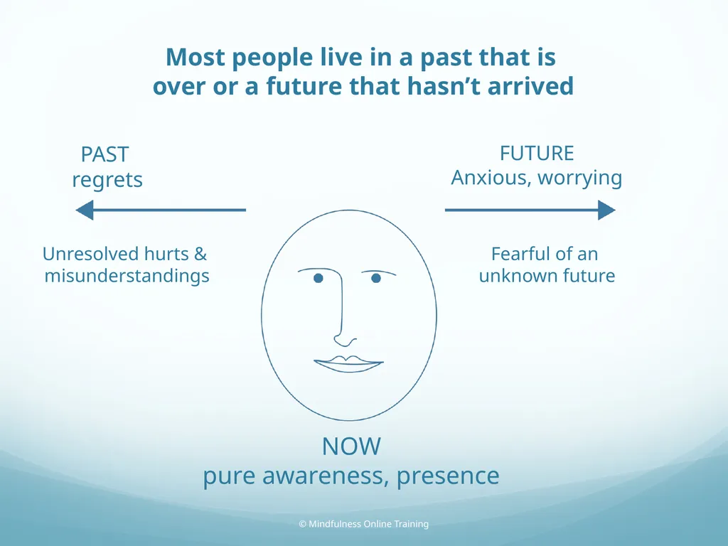 Mindfulness provides a tool for profound life - slide 23 of 103