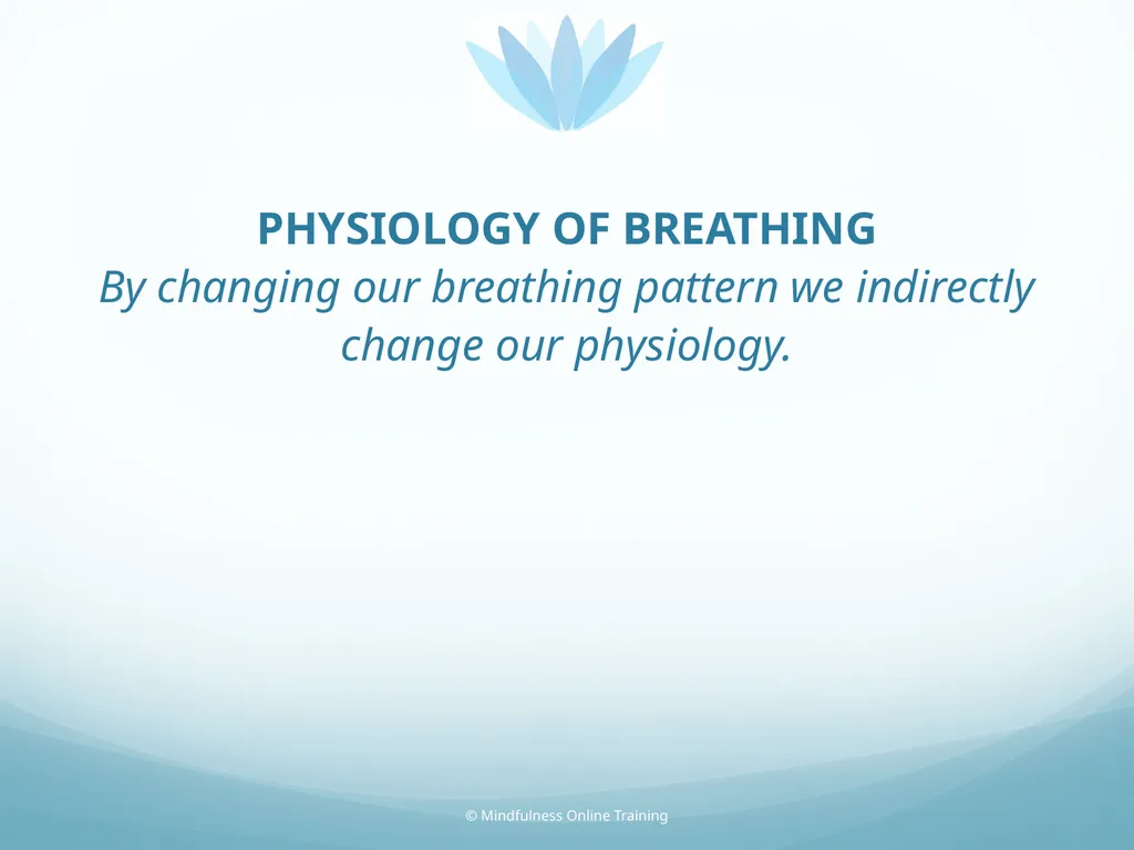 Mindfulness provides a tool for profound life - slide 46 of 103