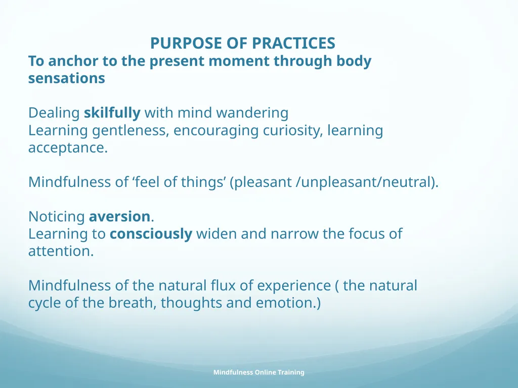 Mindfulness provides a tool for profound life - slide 80 of 103