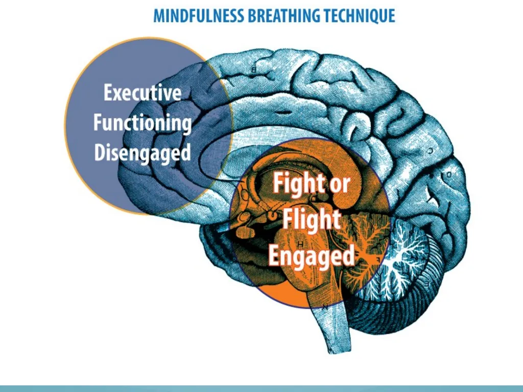 Mindfulness provides a tool for profound life - slide 45 of 103