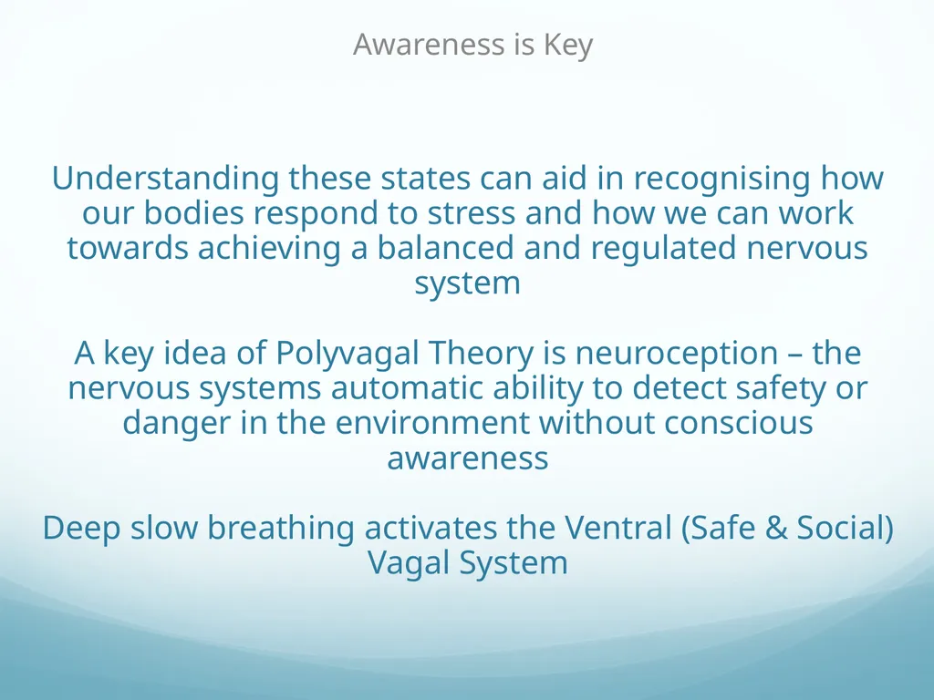 Mindfulness provides a tool for profound life - slide 56 of 103