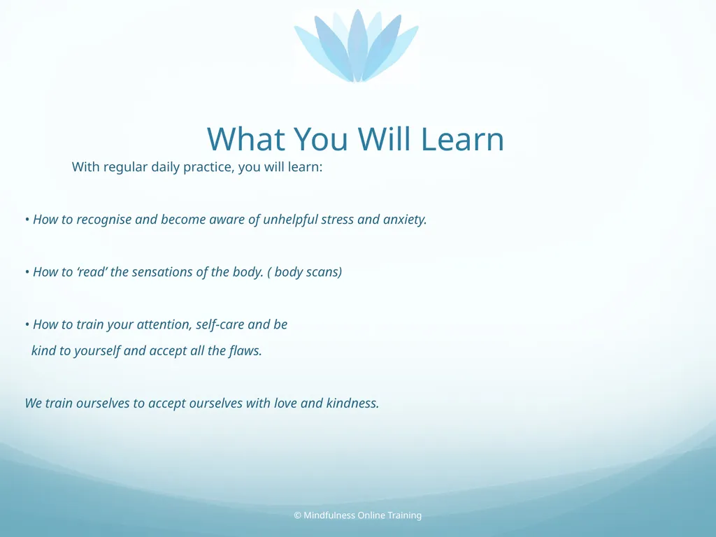 Mindfulness provides a tool for profound life - slide 16 of 103