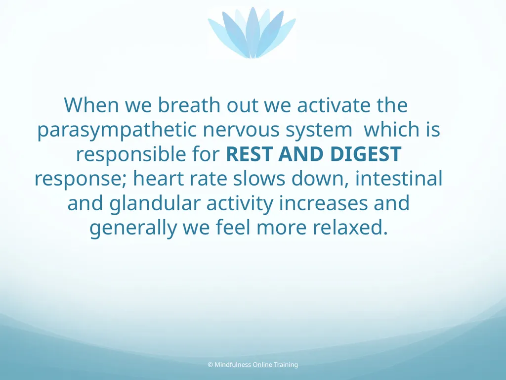 Mindfulness provides a tool for profound life - slide 48 of 103