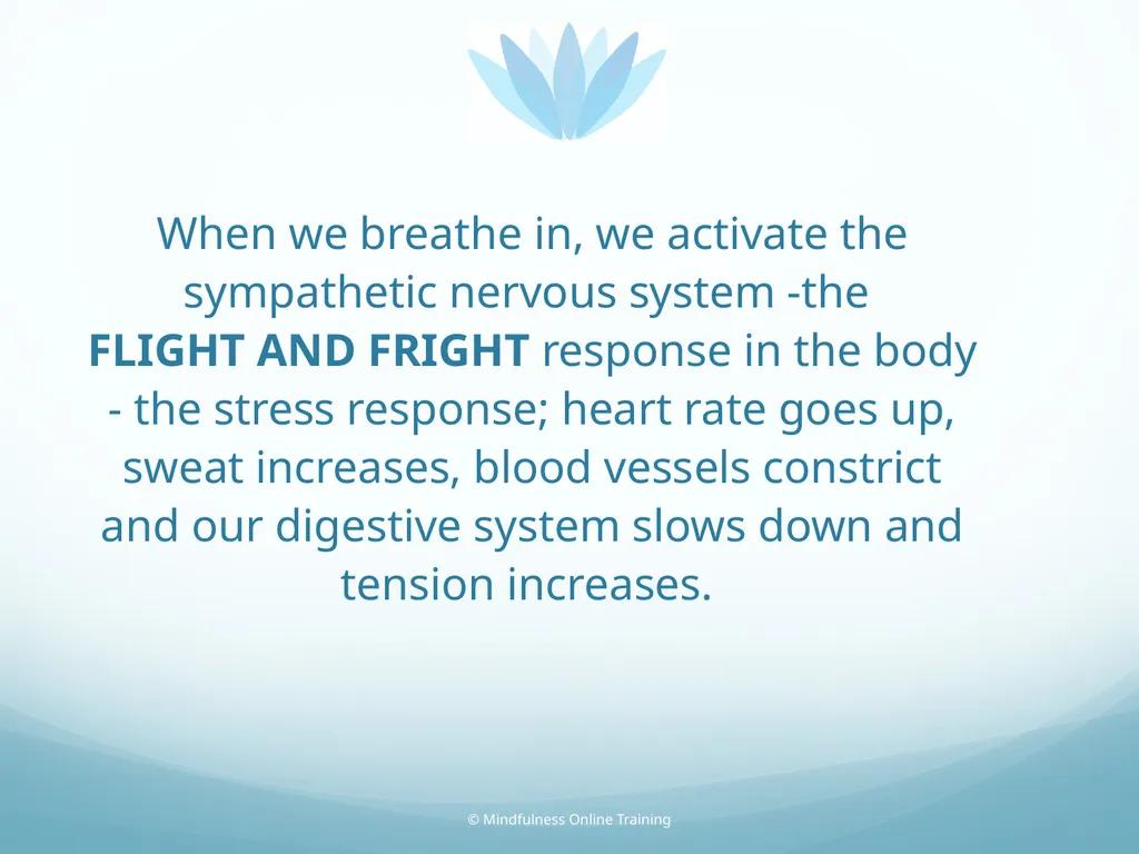 Mindfulness provides a tool for profound life - slide 47 of 103