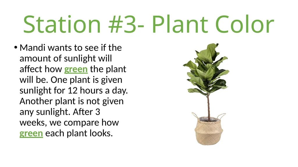 Example- Music Mrs. Kolodziej wants to see how - slide 4 of 10