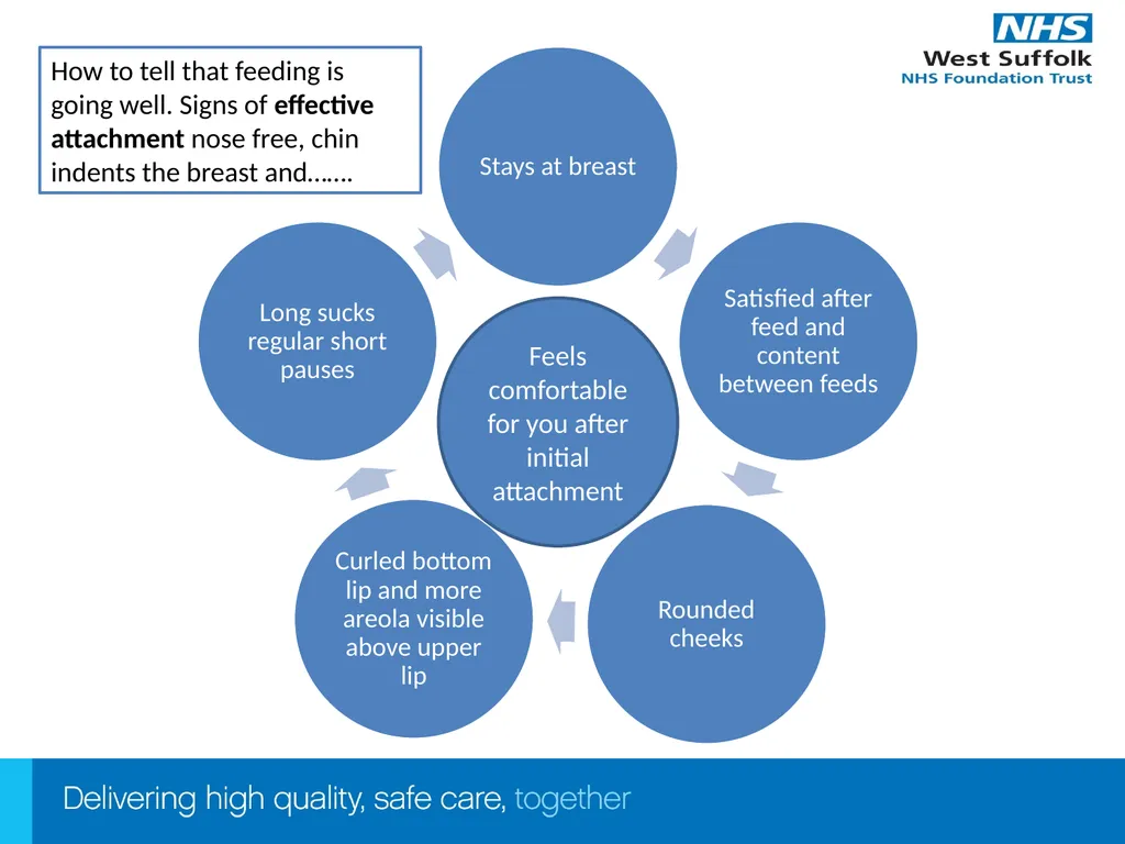 Infant Feeding Workshop Welcome Infant Feeding - slide 11 of 21