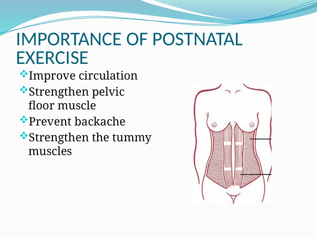 MANAGEMENT OF NORMAL PUERPERIUM Mrs. Preeti - slide 13 of 42