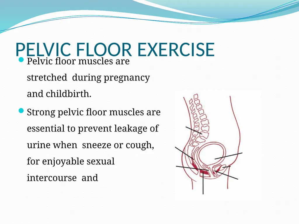 MANAGEMENT OF NORMAL PUERPERIUM Mrs. Preeti - slide 19 of 42