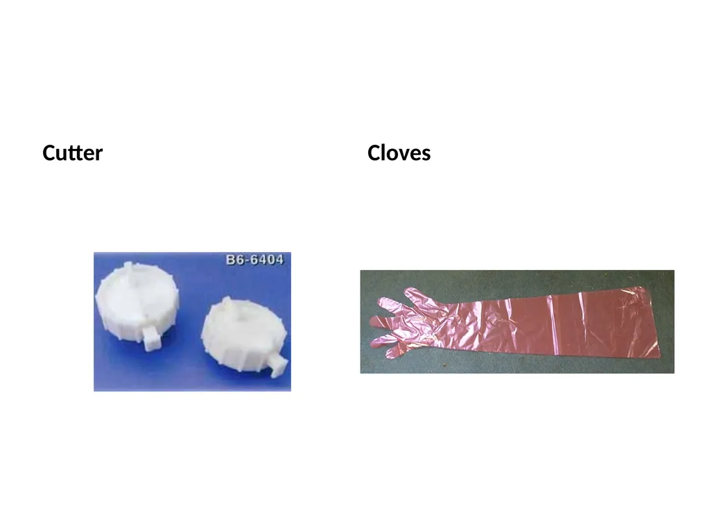 Reproductive organs of cattle Paper 1: Question 4 - slide 27 of 65