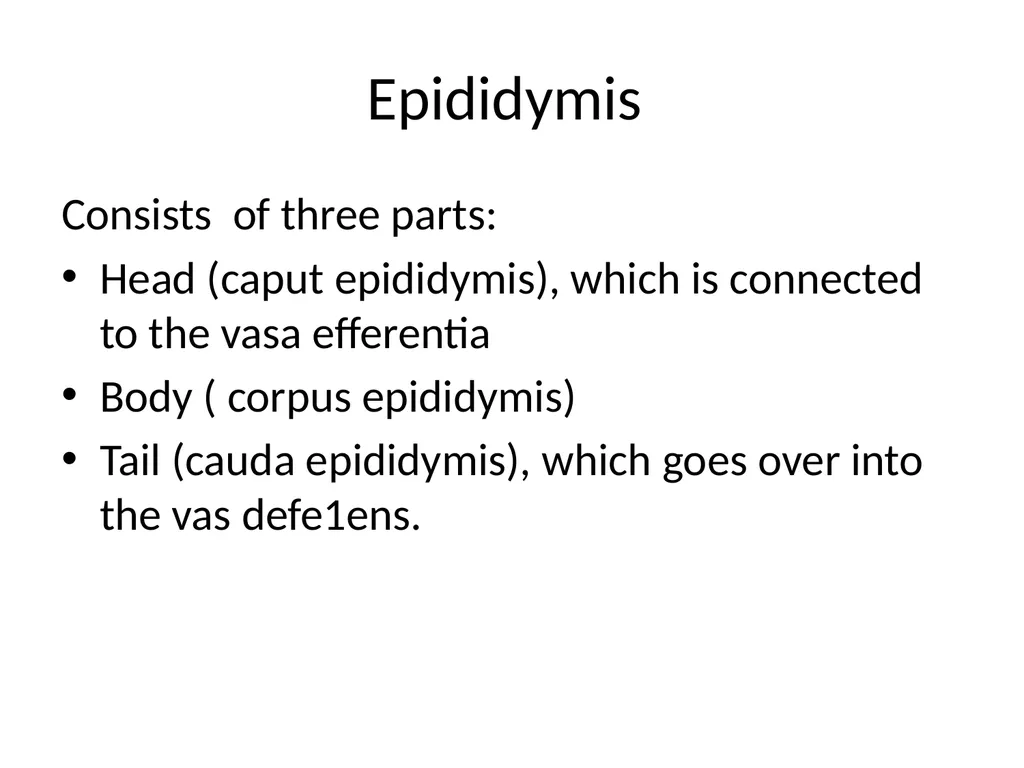 Reproductive organs of cattle Paper 1: Question 4 - slide 6 of 65