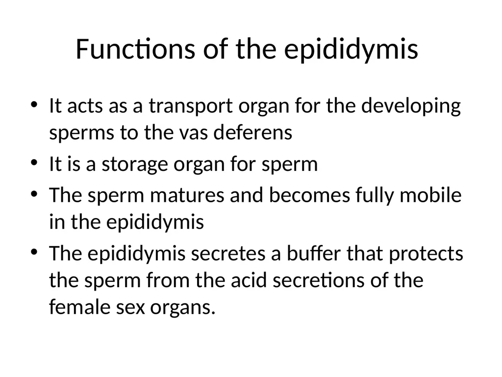 Reproductive organs of cattle Paper 1: Question 4 - slide 7 of 65