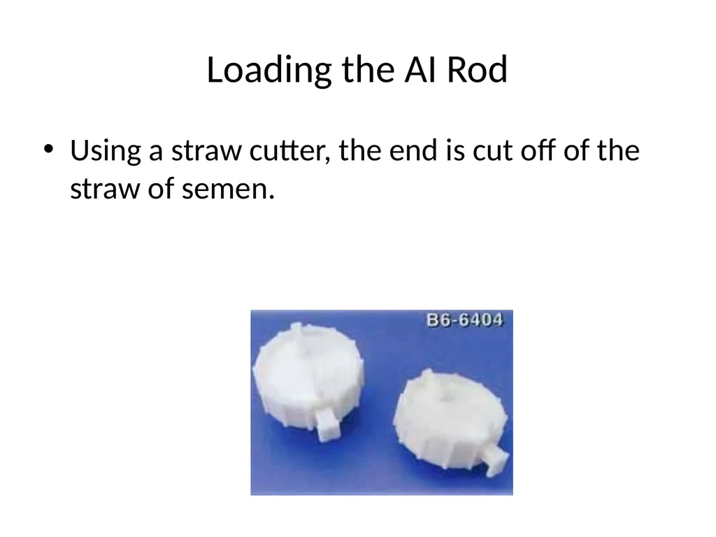 Reproductive organs of cattle Paper 1: Question 4 - slide 45 of 65