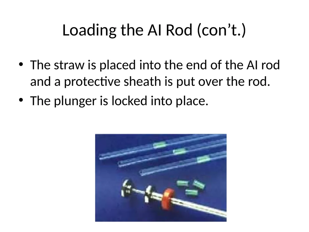 Reproductive organs of cattle Paper 1: Question 4 - slide 46 of 65