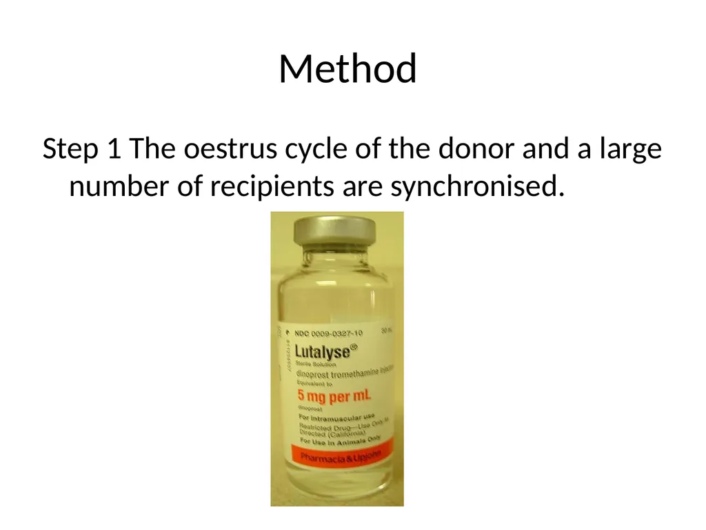 Reproductive organs of cattle Paper 1: Question 4 - slide 55 of 65