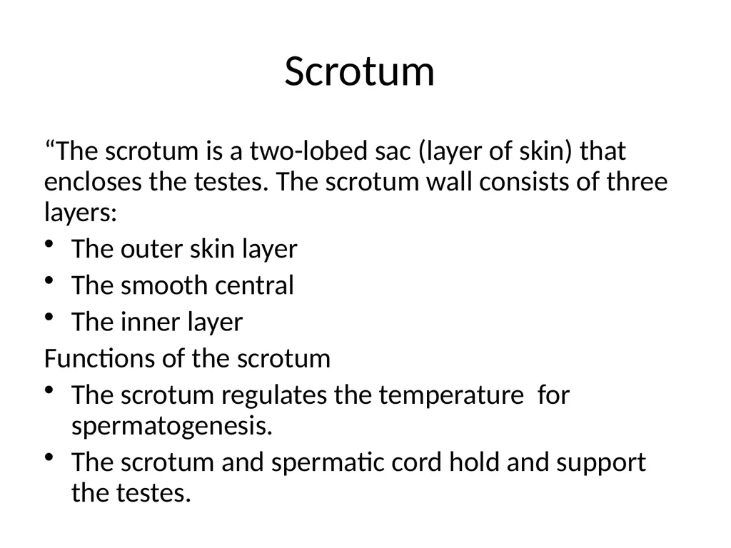 Reproductive organs of cattle Paper 1: Question 4 - slide 8 of 65