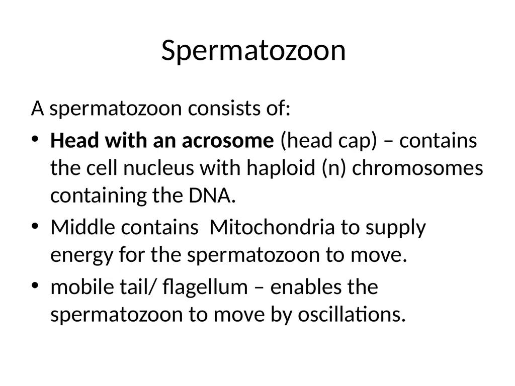 Reproductive organs of cattle Paper 1: Question 4 - slide 11 of 65