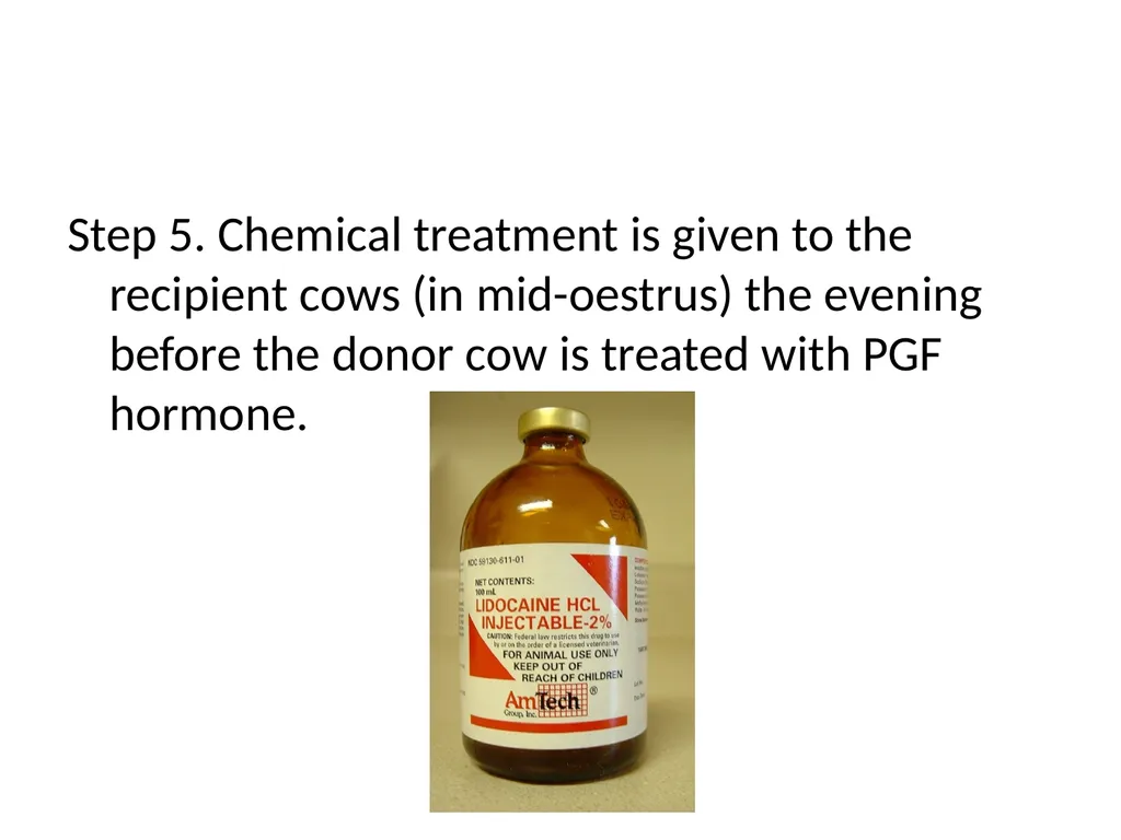Reproductive organs of cattle Paper 1: Question 4 - slide 58 of 65