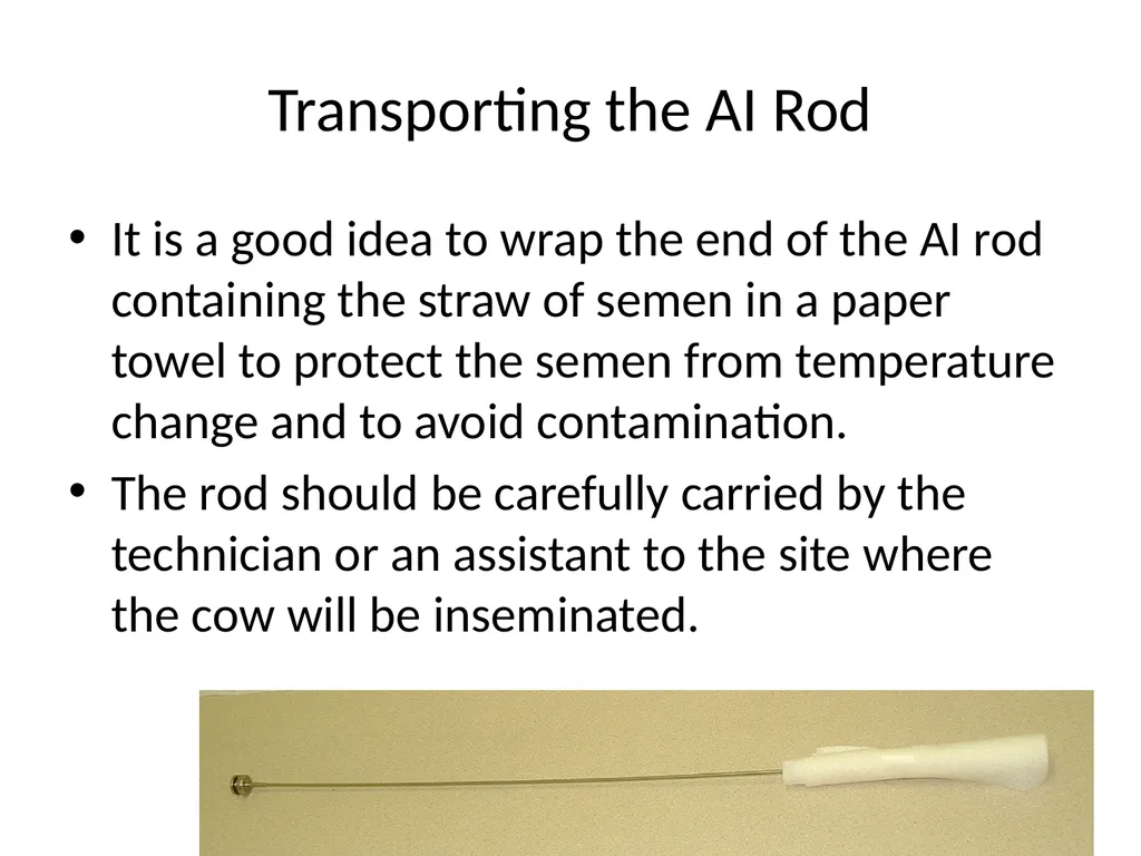 Reproductive organs of cattle Paper 1: Question 4 - slide 47 of 65