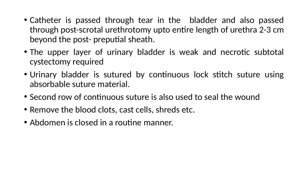 URINARY SYSTEM Kidneys are large lobulated - slide 15 of 58