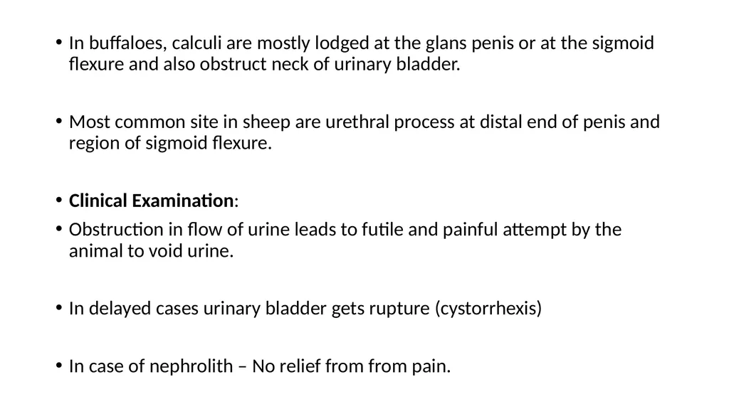 URINARY SYSTEM Kidneys are large lobulated - slide 5 of 58