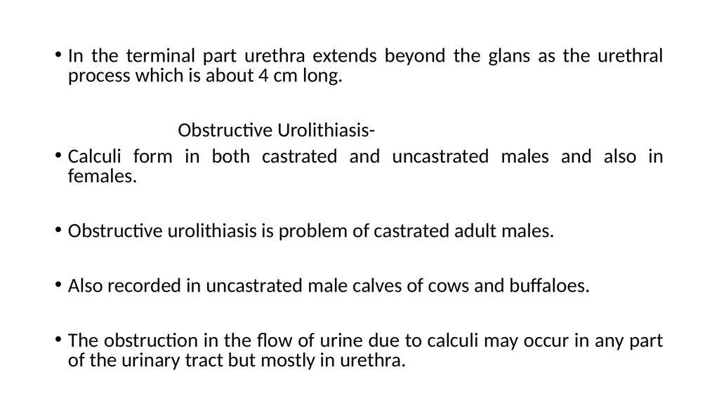 URINARY SYSTEM Kidneys are large lobulated - slide 3 of 58