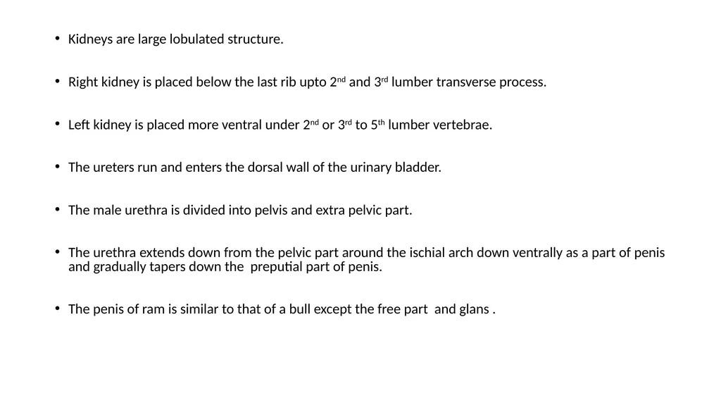 URINARY SYSTEM Kidneys are large lobulated - slide 2 of 58