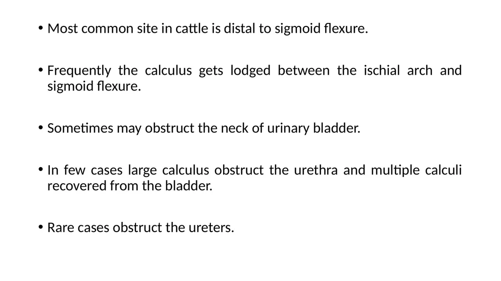 URINARY SYSTEM Kidneys are large lobulated - slide 4 of 58