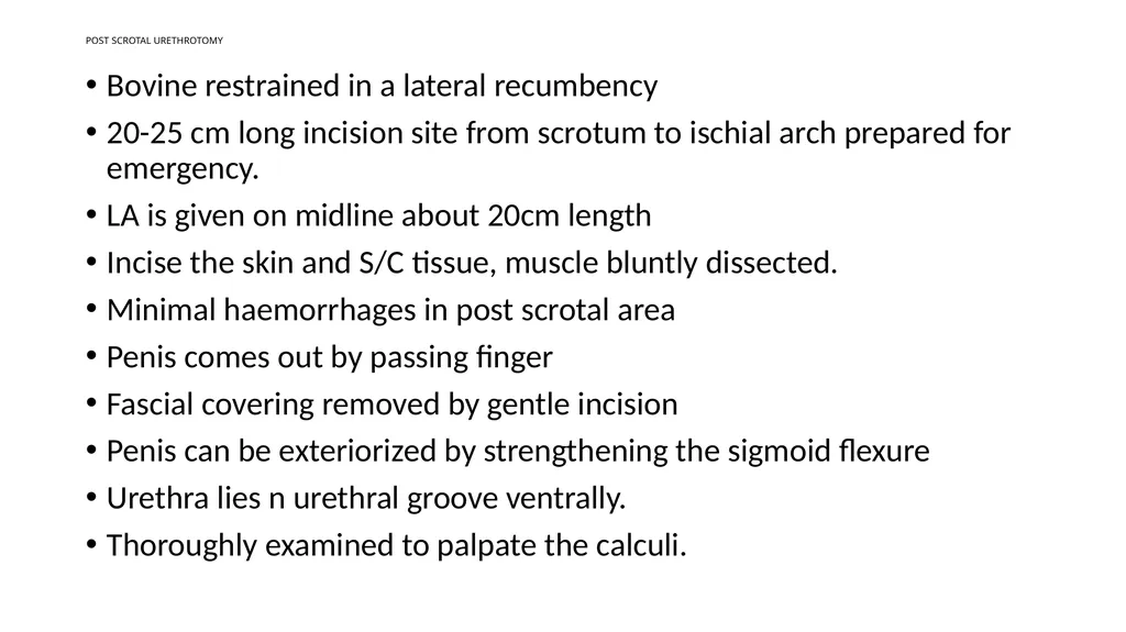 URINARY SYSTEM Kidneys are large lobulated - slide 10 of 58