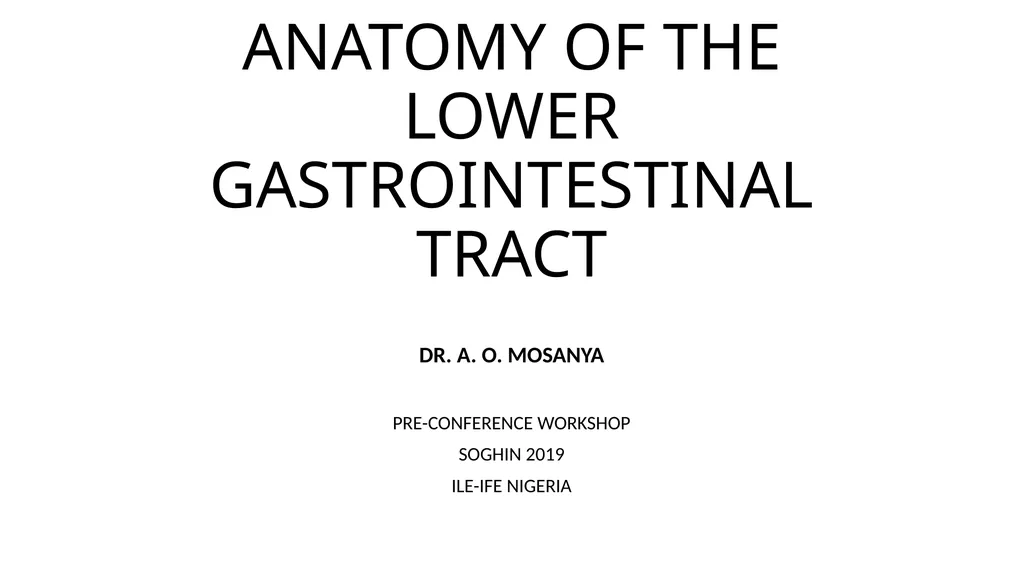ANATOMY OF THE LOWER GASTROINTESTINAL TRACT DR. A. - slide 1 of 23