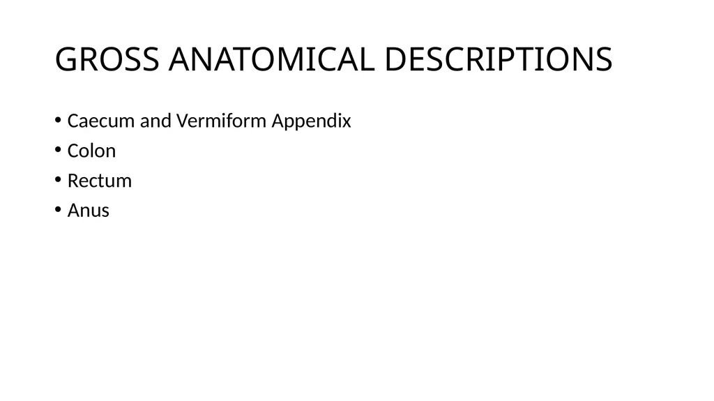 ANATOMY OF THE LOWER GASTROINTESTINAL TRACT DR. A. - slide 4 of 23