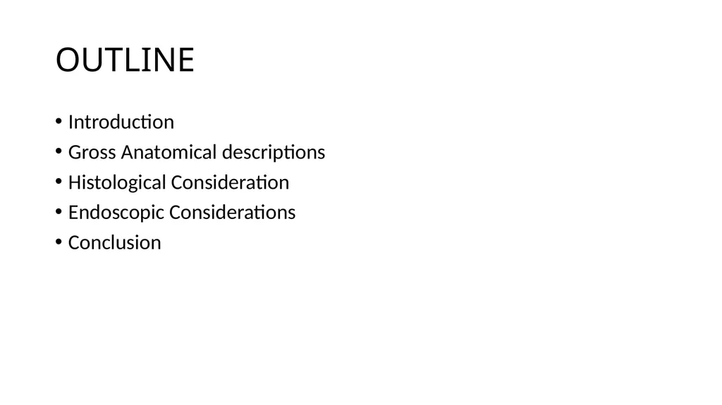 ANATOMY OF THE LOWER GASTROINTESTINAL TRACT DR. A. - slide 2 of 23