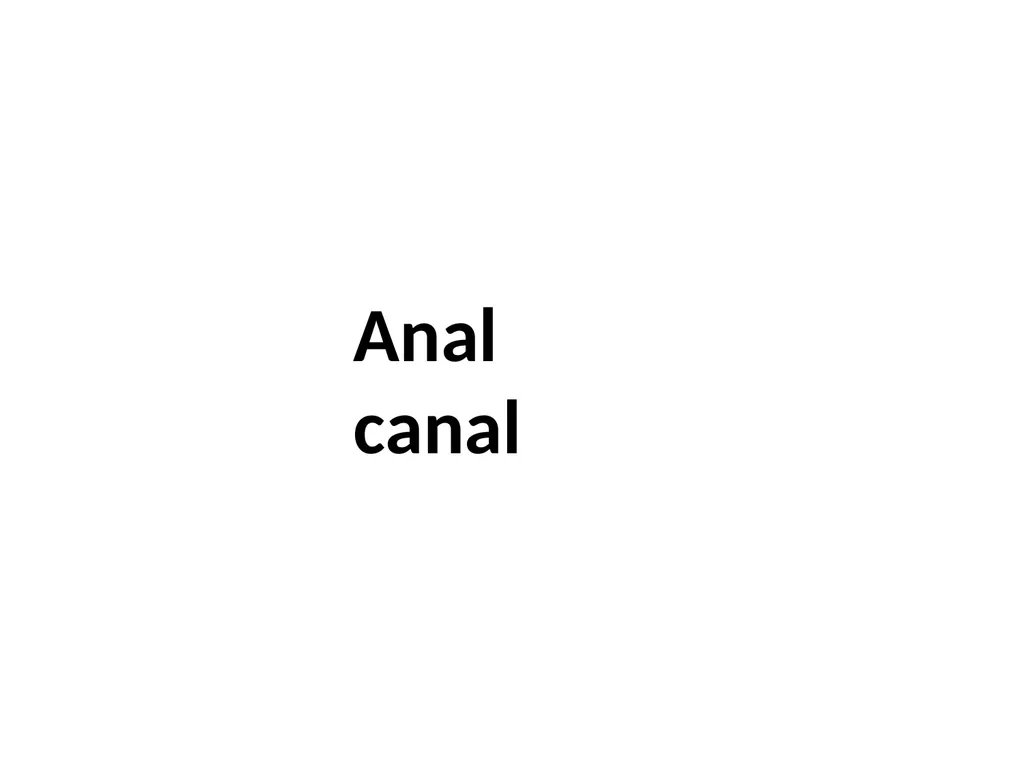 Sigmoid colon Dr. Dima Hamarsheh - slide 30 of 52