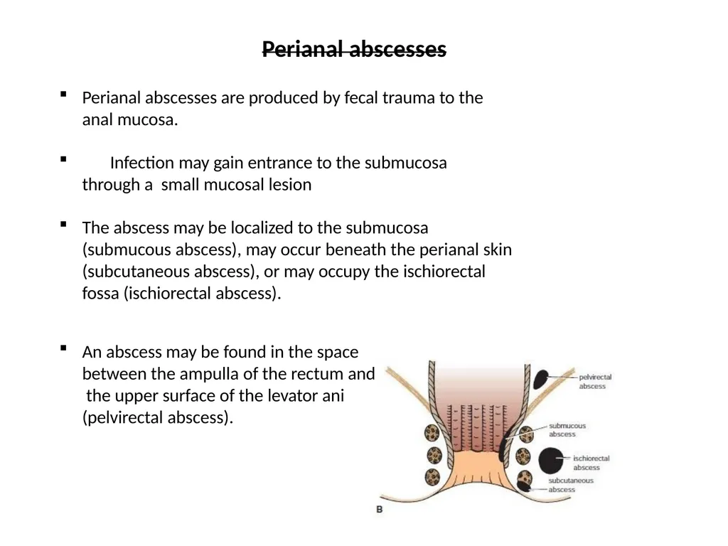 Sigmoid colon Dr. Dima Hamarsheh - slide 51 of 52