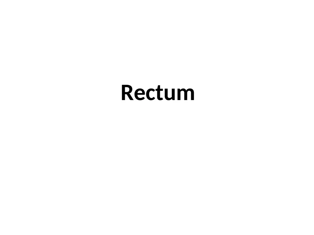 Sigmoid colon Dr. Dima Hamarsheh - slide 12 of 52