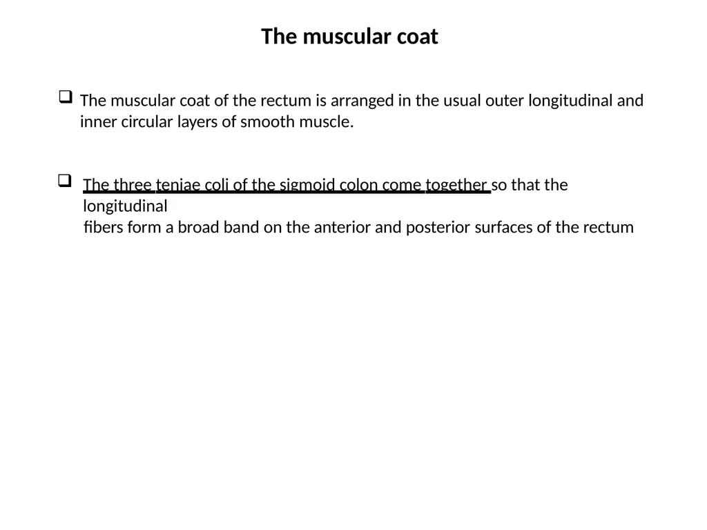 Sigmoid colon Dr. Dima Hamarsheh - slide 16 of 52