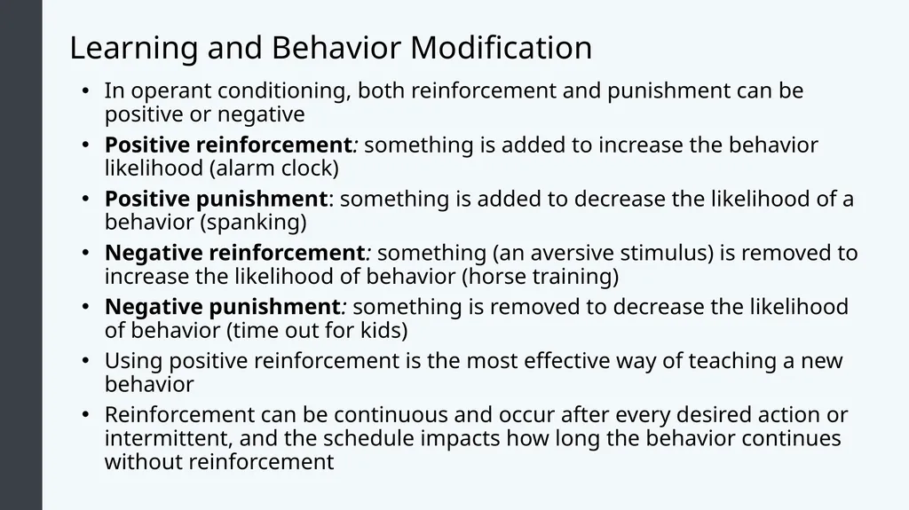 Lifespan Development Module # 5: Early Childhood - slide 32 of 38