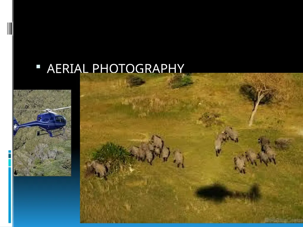 ENVIRONMENTAL STUDIES POPULATION ECOLOGY - slide 32 of 43