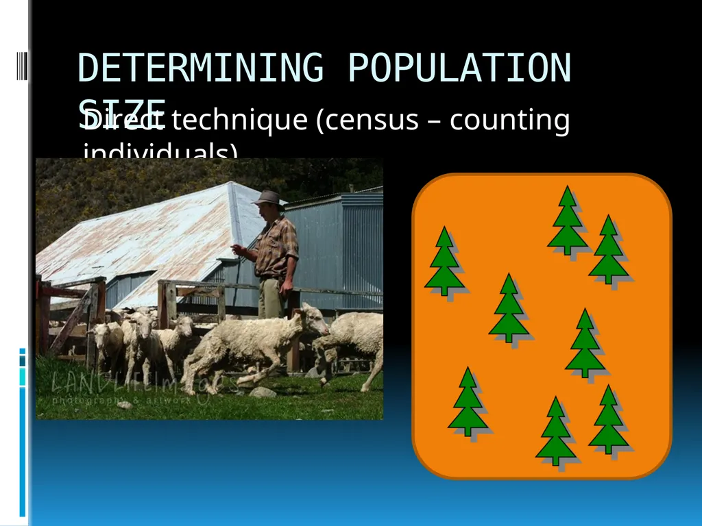 ENVIRONMENTAL STUDIES POPULATION ECOLOGY - slide 31 of 43