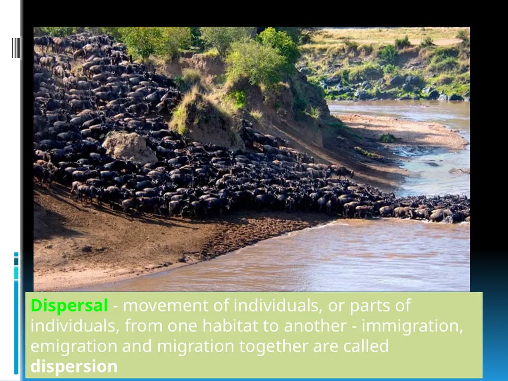 ENVIRONMENTAL STUDIES POPULATION ECOLOGY - slide 15 of 43
