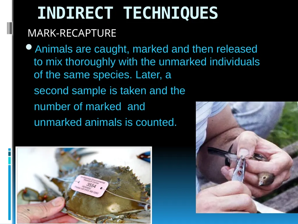 ENVIRONMENTAL STUDIES POPULATION ECOLOGY - slide 34 of 43