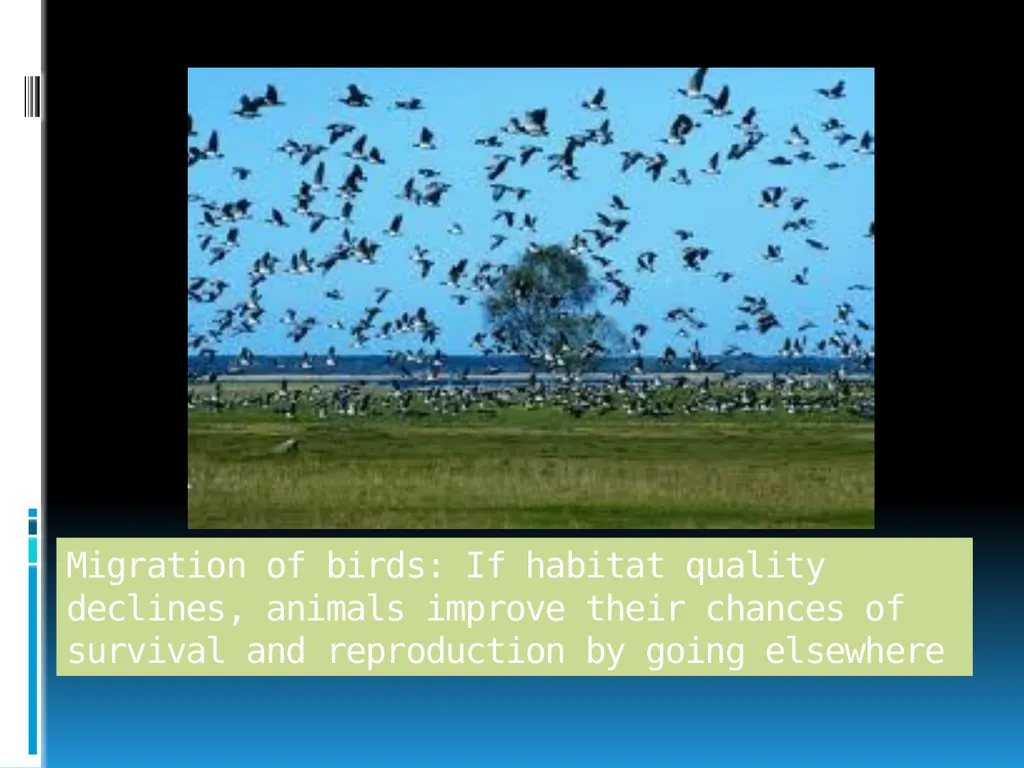 ENVIRONMENTAL STUDIES POPULATION ECOLOGY - slide 19 of 43