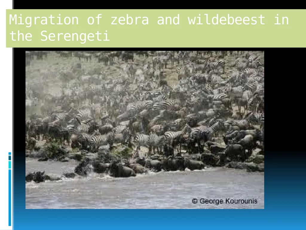 ENVIRONMENTAL STUDIES POPULATION ECOLOGY - slide 17 of 43