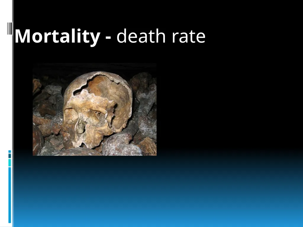 ENVIRONMENTAL STUDIES POPULATION ECOLOGY - slide 11 of 43