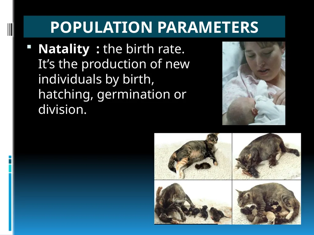 ENVIRONMENTAL STUDIES POPULATION ECOLOGY - slide 7 of 43