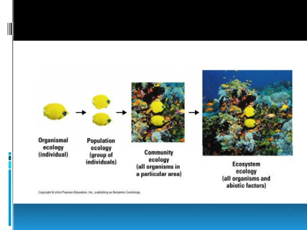 ENVIRONMENTAL STUDIES POPULATION ECOLOGY - slide 3 of 43