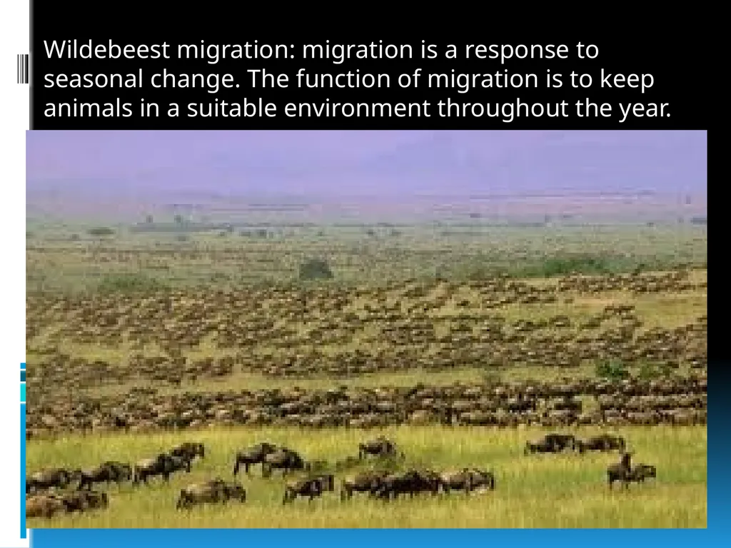 ENVIRONMENTAL STUDIES POPULATION ECOLOGY - slide 18 of 43