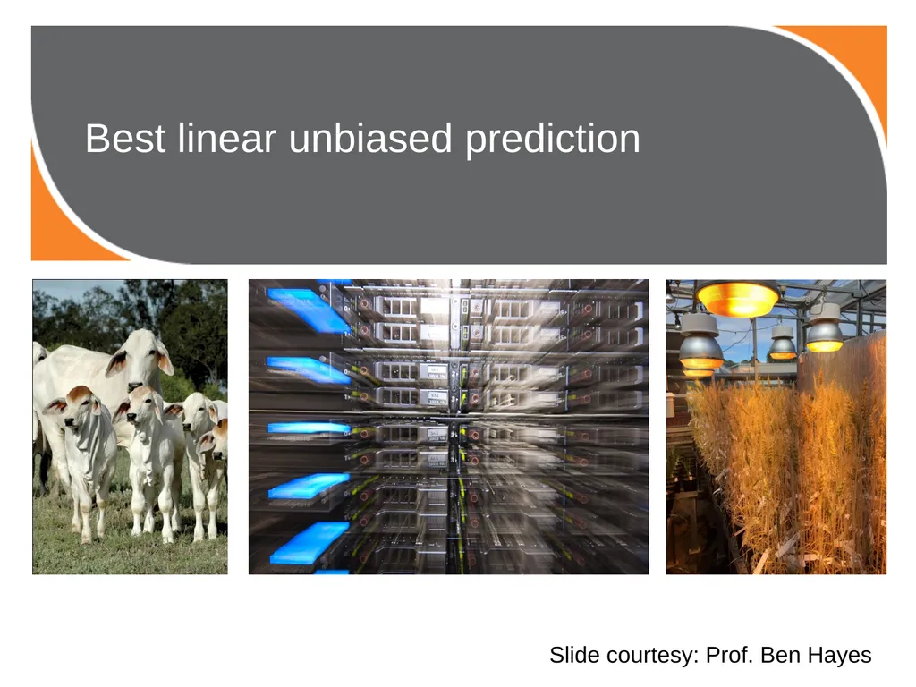 Best linear unbiased prediction Slide courtesy: - slide 1 of 31