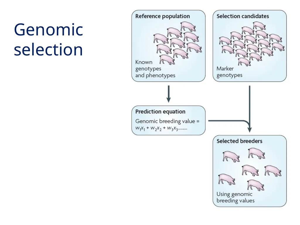 Best linear unbiased prediction Slide courtesy: - slide 2 of 31