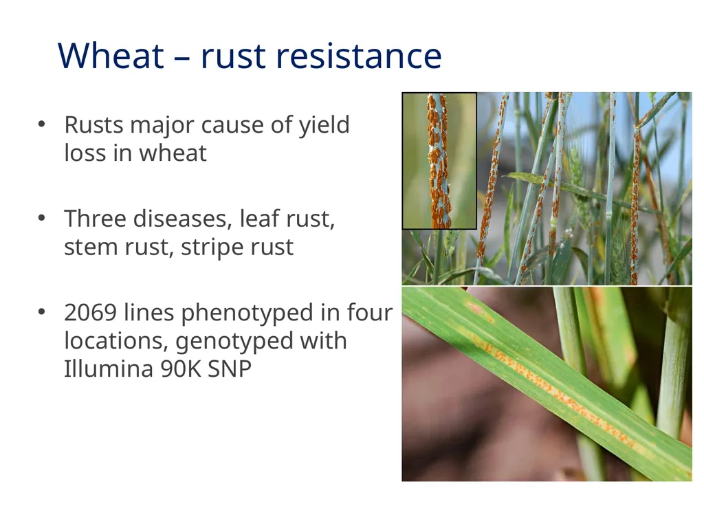 Best linear unbiased prediction Slide courtesy: - slide 23 of 31